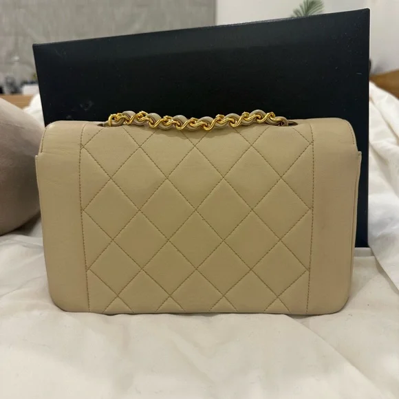 CHANEL Small Diana Beige Shoulder Bag - Picture 4 of 12